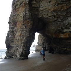 GirlsWildCat 070 : GirlsWildCat